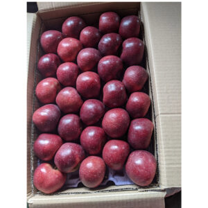 Apple-type-product-devdar-valley-organics-image2