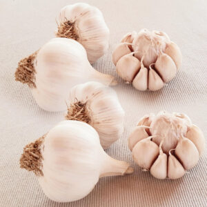 garlic-farm-product-image1